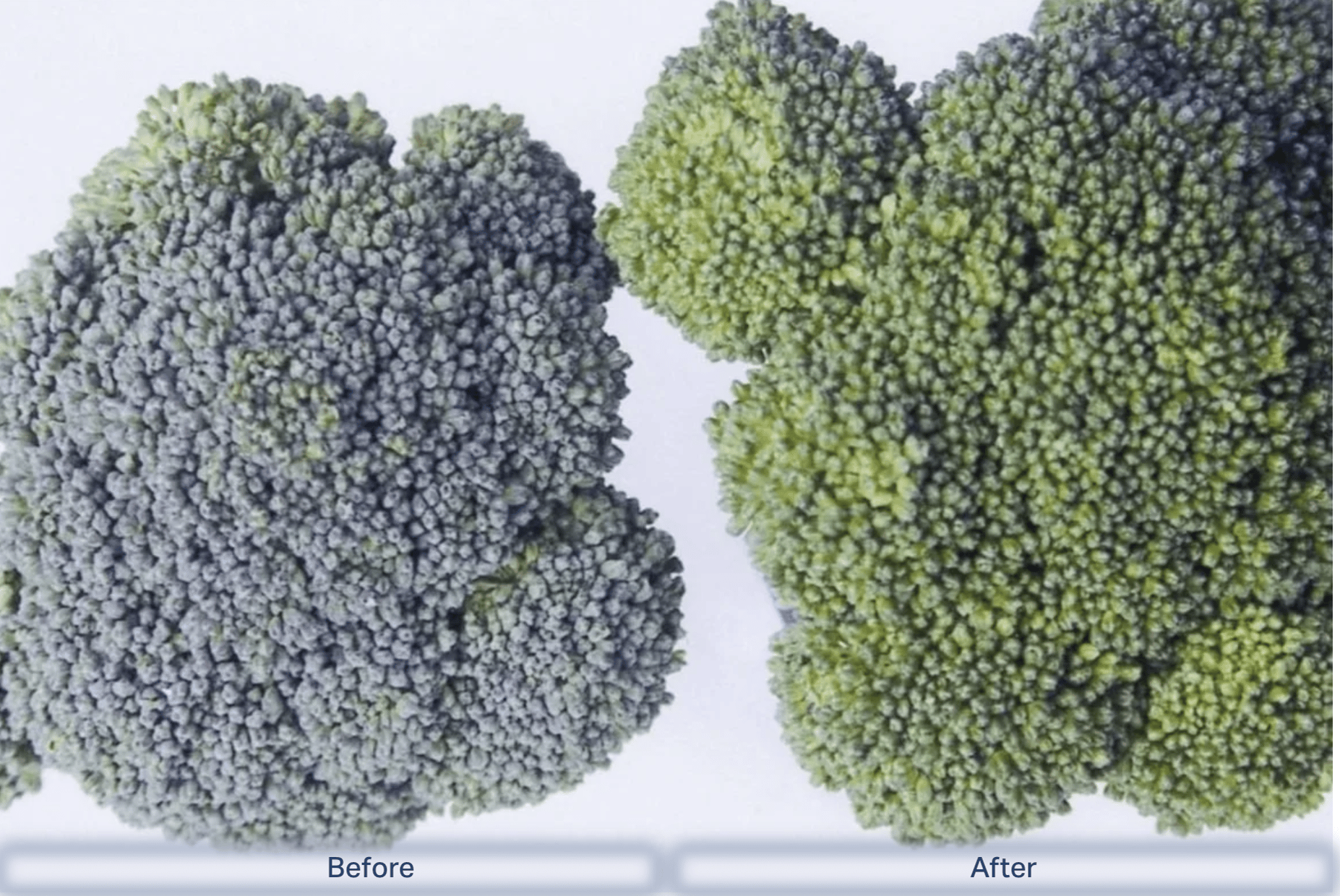 Screenshot 2025-10-01 at 7.35.52 AM